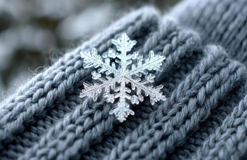 Winter Wear